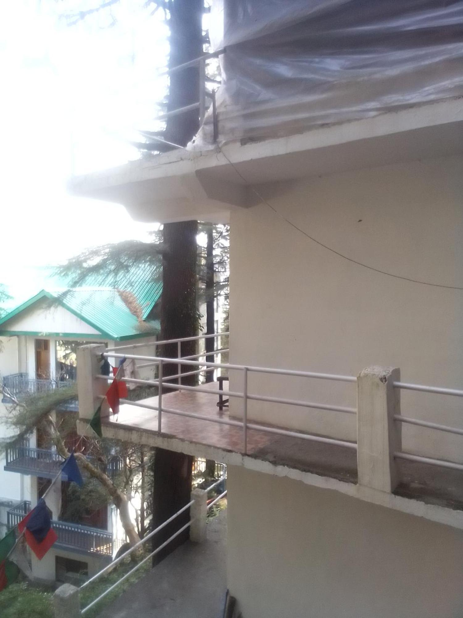 Albergue Himalayan Triund Trekking And Mountain View Dharamshala Exterior foto