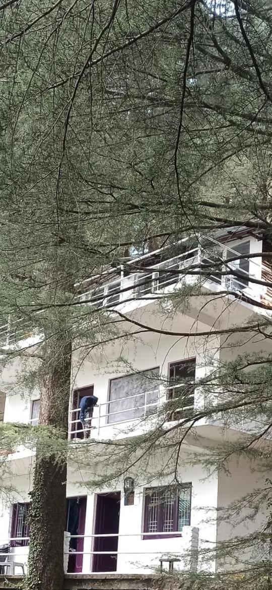 Albergue Himalayan Triund Trekking And Mountain View Dharamshala Exterior foto
